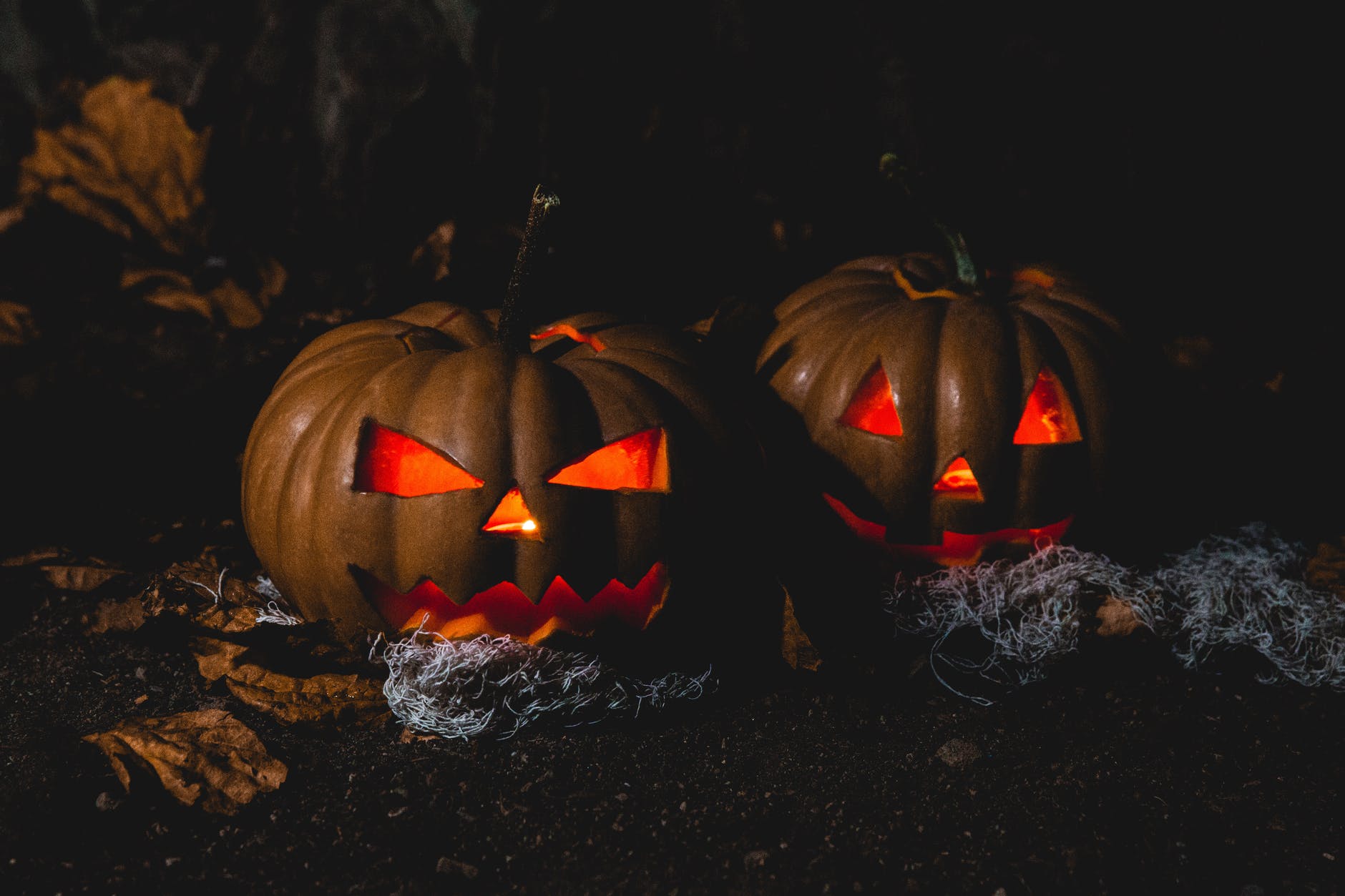 A spooky discovery